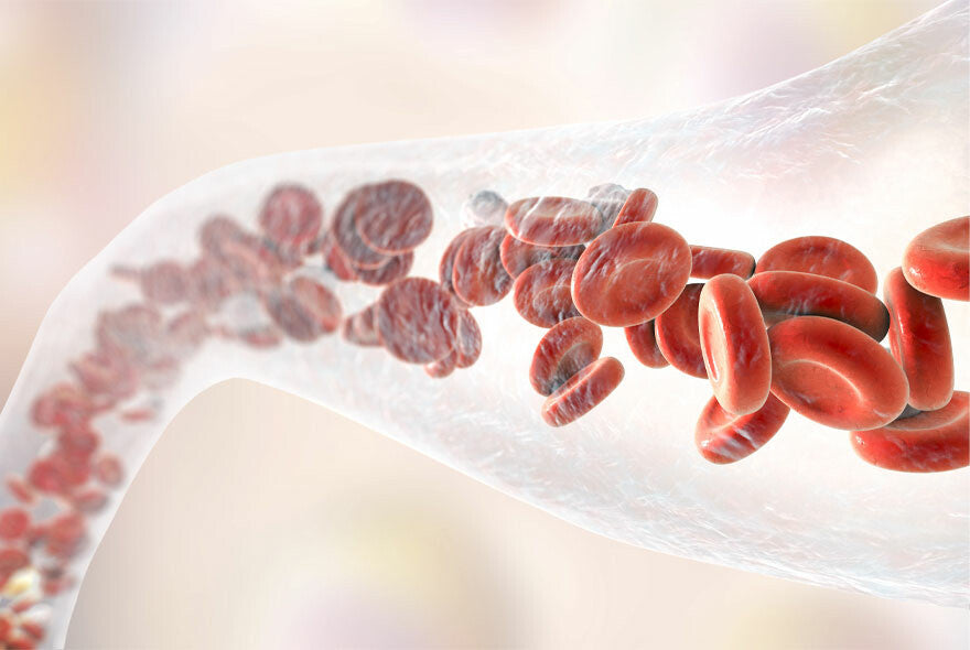 How to Improve Poor Blood Circulation